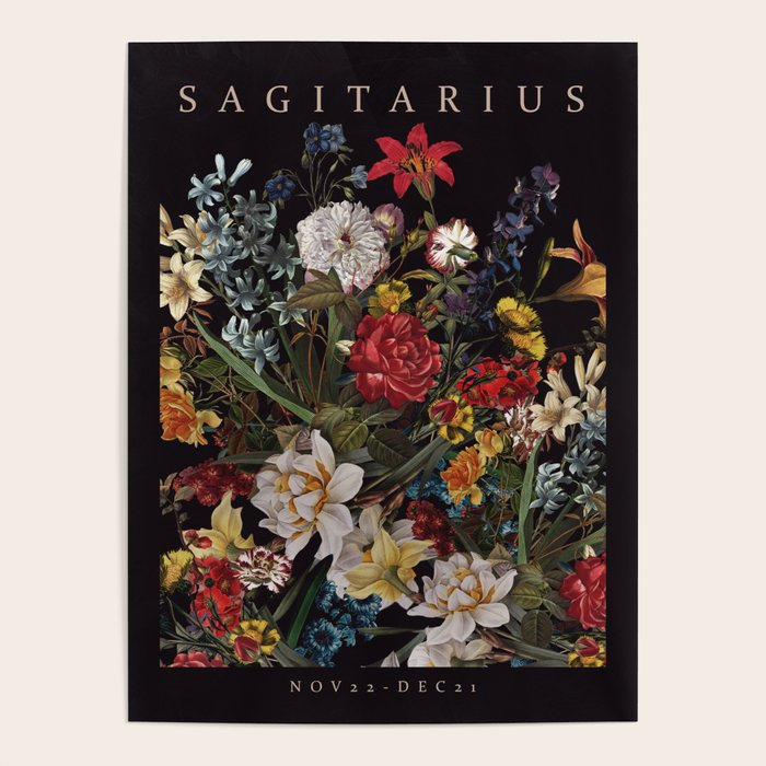 SAGITARIUS II Poster Gallery Image 4