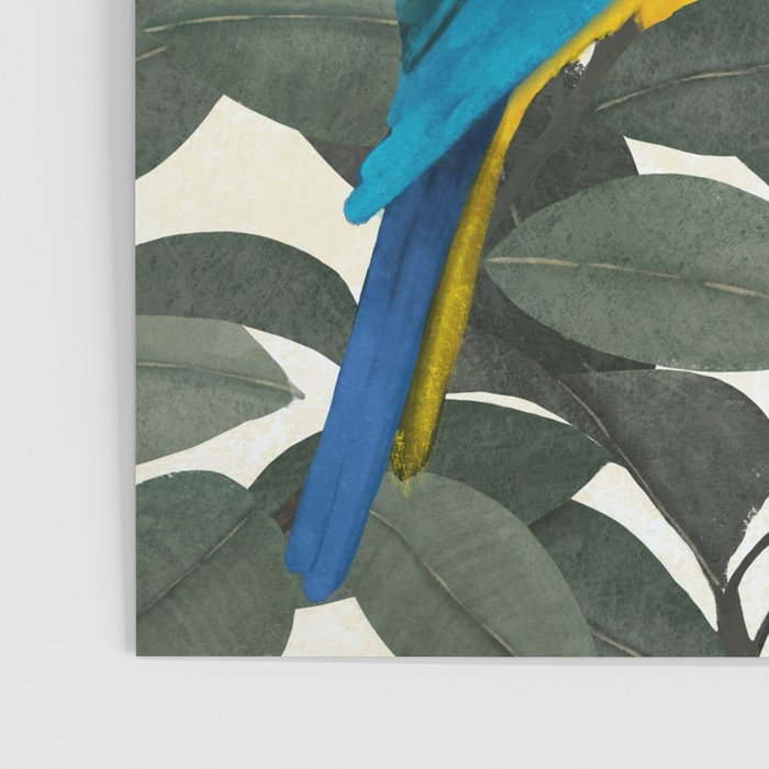 Parrots and jungle II Poster Gallery Image 3