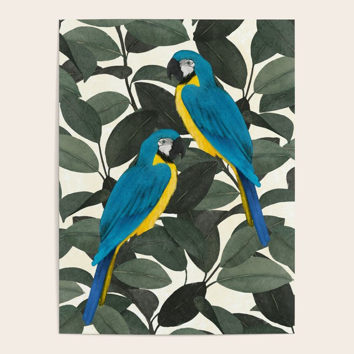 Parrots and jungle II Poster Gallery Image 1
