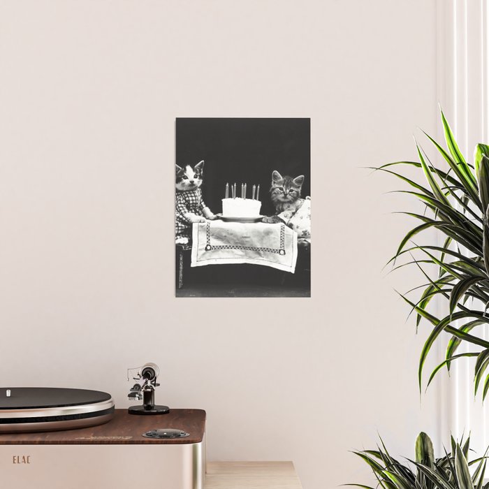 Vintage Let them eat cake kittens with cake and candles funny humorous black and white photograph Poster Gallery Image 2