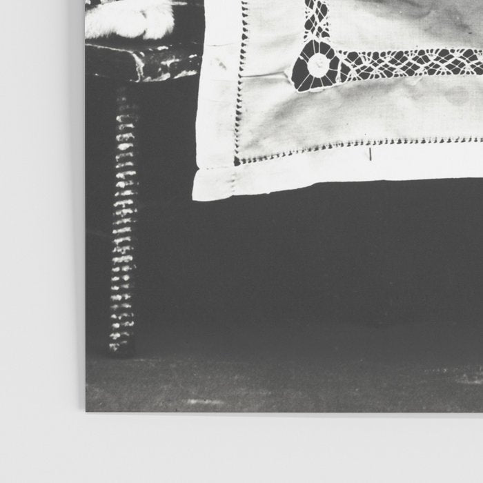 Vintage Let them eat cake kittens with cake and candles funny humorous black and white photograph Poster Gallery Image 3