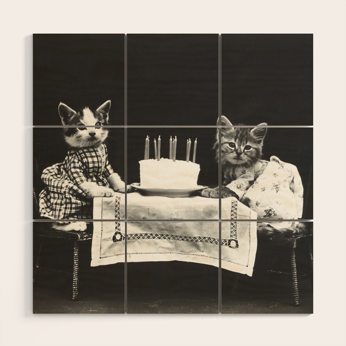 Vintage Let them eat cake kittens with cake and candles funny humorous black and white photograph Wood Wall Art Gallery Image 1