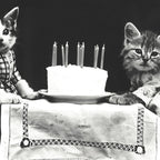 Vintage Let them eat cake kittens with cake and candles funny humorous black and white photograph Coffee Mug Gallery Image 2
