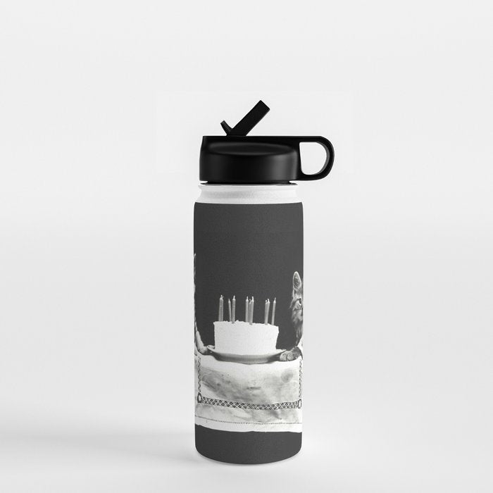 Vintage Let them eat cake kittens with cake and candles funny humorous black and white photograph Water Bottle Gallery Image 1