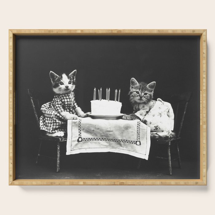 Vintage Let them eat cake kittens with cake and candles funny humorous black and white photograph Serving Tray Gallery Image 1