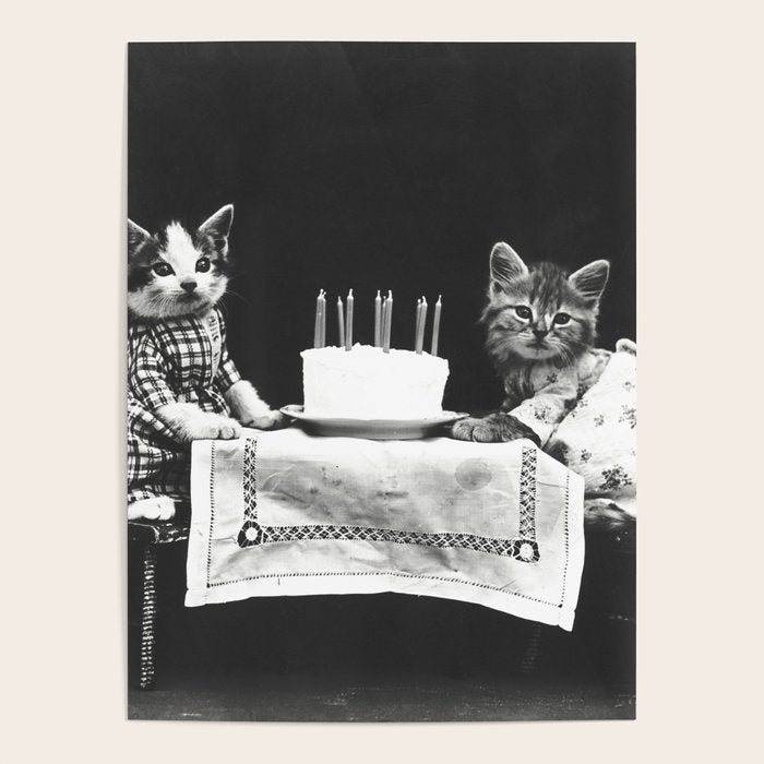 Vintage Let them eat cake kittens with cake and candles funny humorous black and white photograph Poster Gallery Image 4