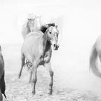 Running with the horses Coffee Mug Gallery Image 2