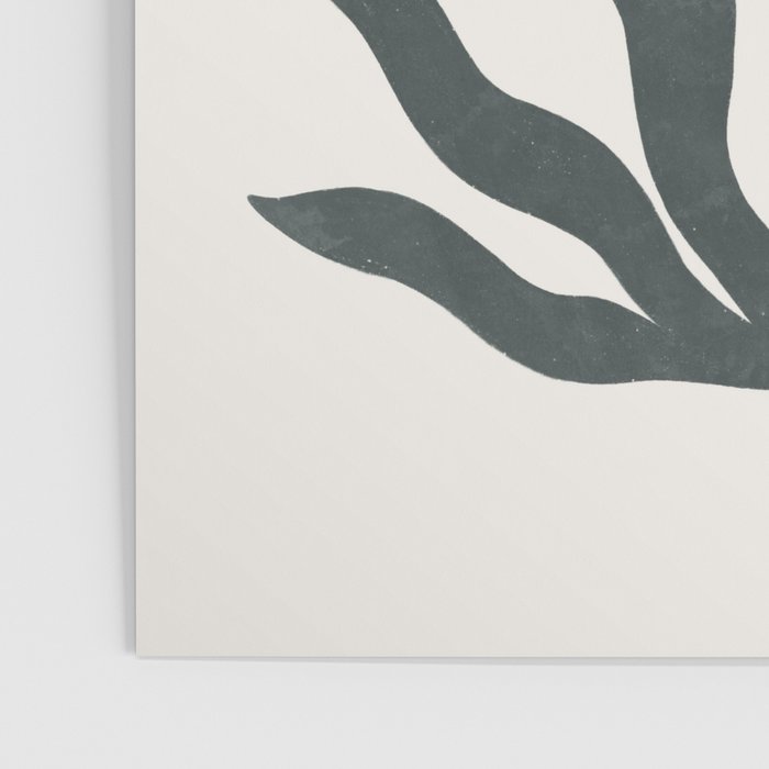 agave Poster Gallery Image 3