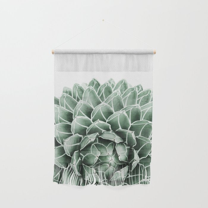 Succulent splendour Wall Hanging Gallery Image 1