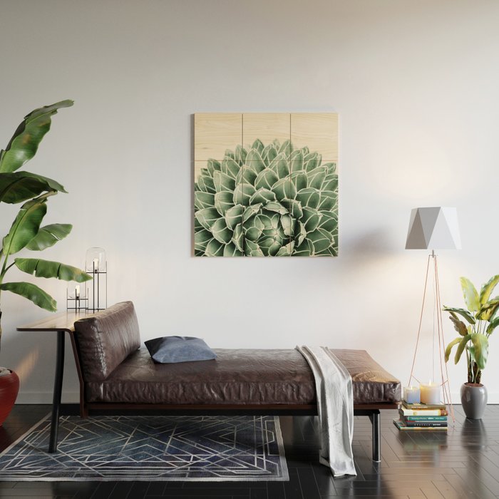 Succulent splendour Wood Wall Art Gallery Image 2