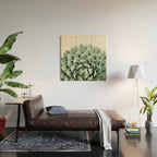 Succulent splendour Wood Wall Art Gallery Image 2