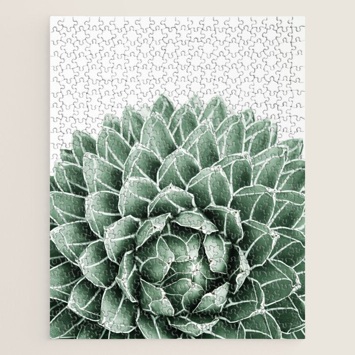 Succulent splendour Jigsaw Puzzle Gallery Image 1