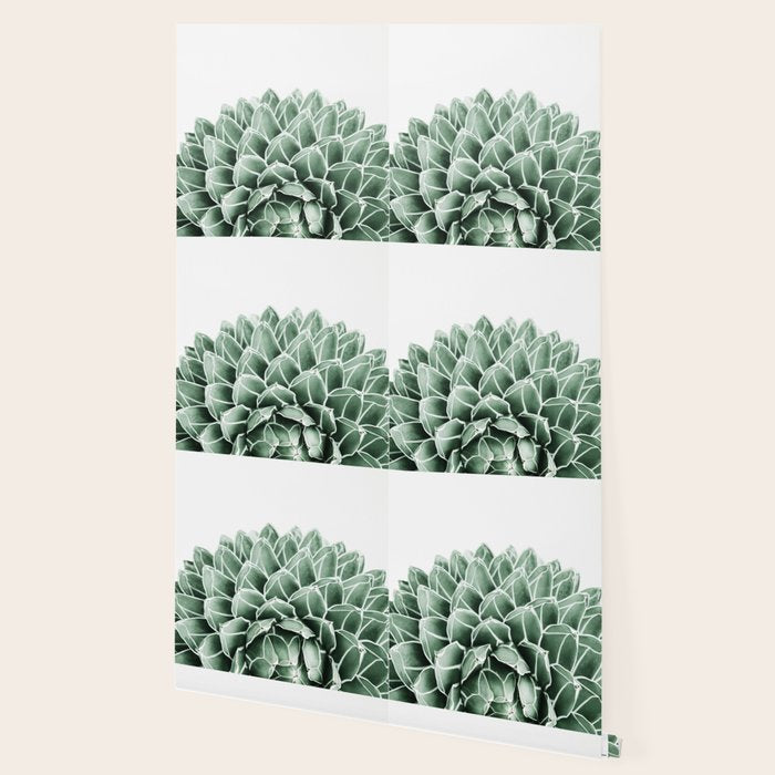 Succulent splendour Wallpaper Gallery Image 2