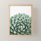 Succulent splendour Mini Art Print Gallery Image 1