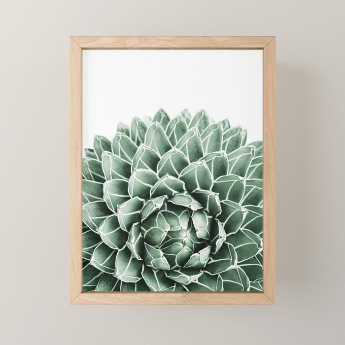 Succulent splendour Mini Art Print Gallery Image 1
