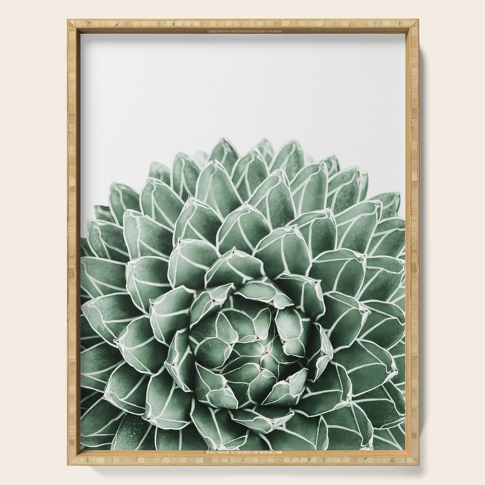 Succulent splendour Serving Tray Gallery Image 1
