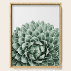 Succulent splendour Serving Tray Gallery Image 1