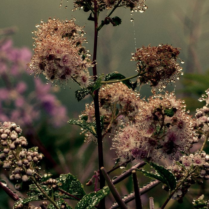 Coastal Summer Meadow Coffee Mug Gallery Image 2
