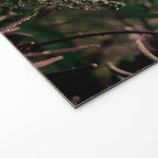 Coastal Summer Meadow Welcome Mat Gallery Image 2