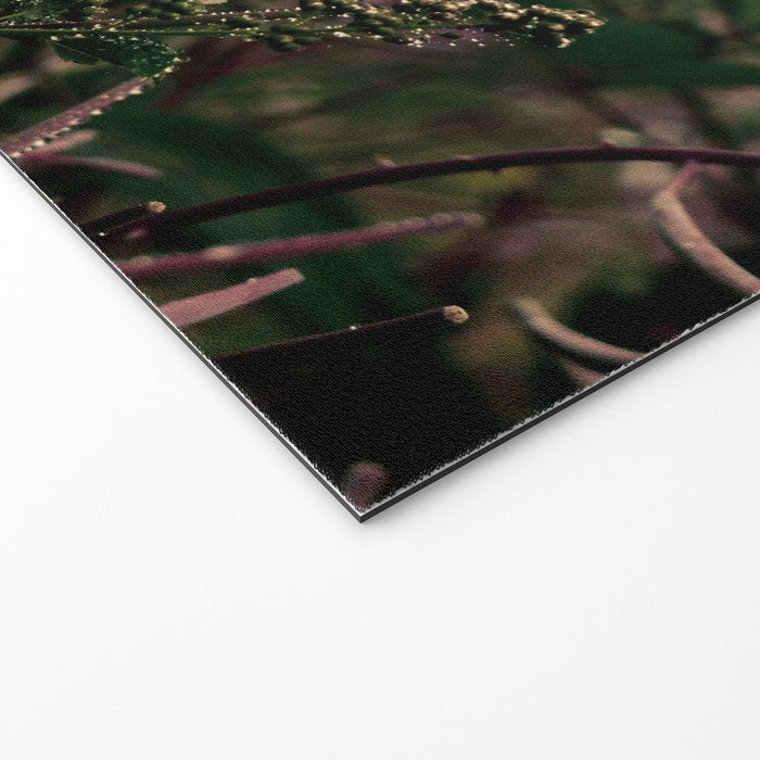 Coastal Summer Meadow Welcome Mat Gallery Image 2