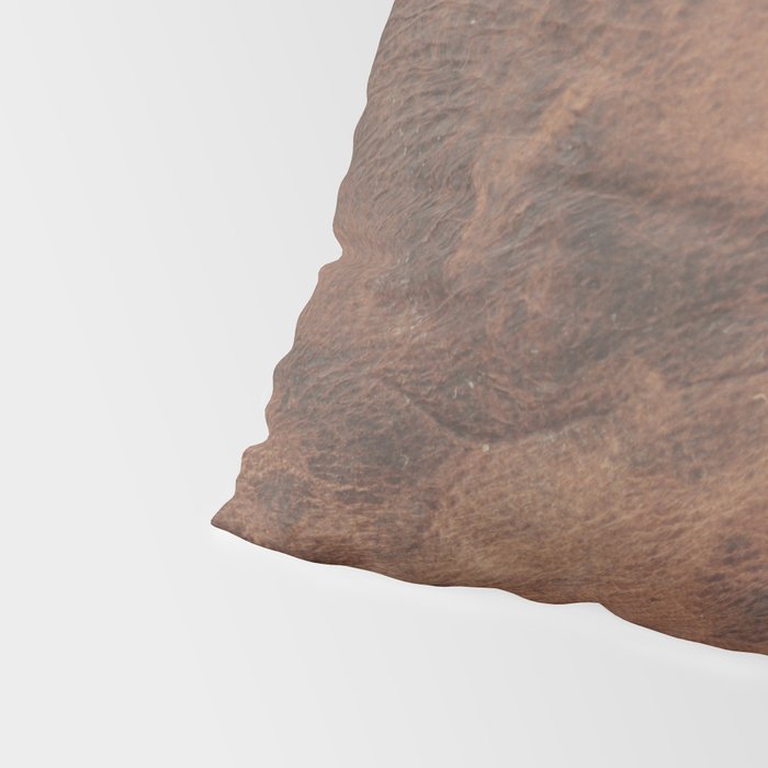 Old Tan Faux Leather Texture Pillow Sham Gallery Image 4
