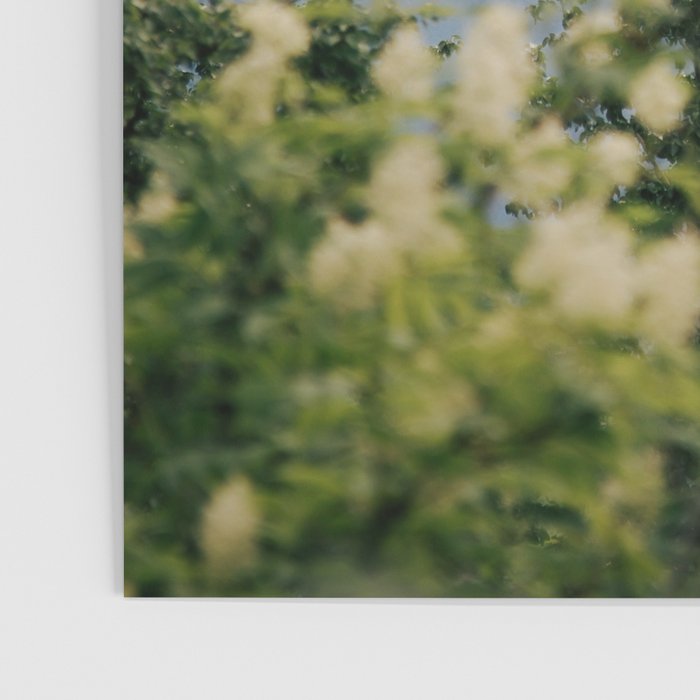Peaceful Poster Gallery Image 3