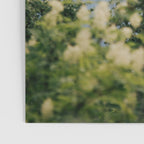 Peaceful Poster Gallery Image 3