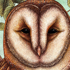 Spring Barn Owl Coffee Mug Gallery Image 2