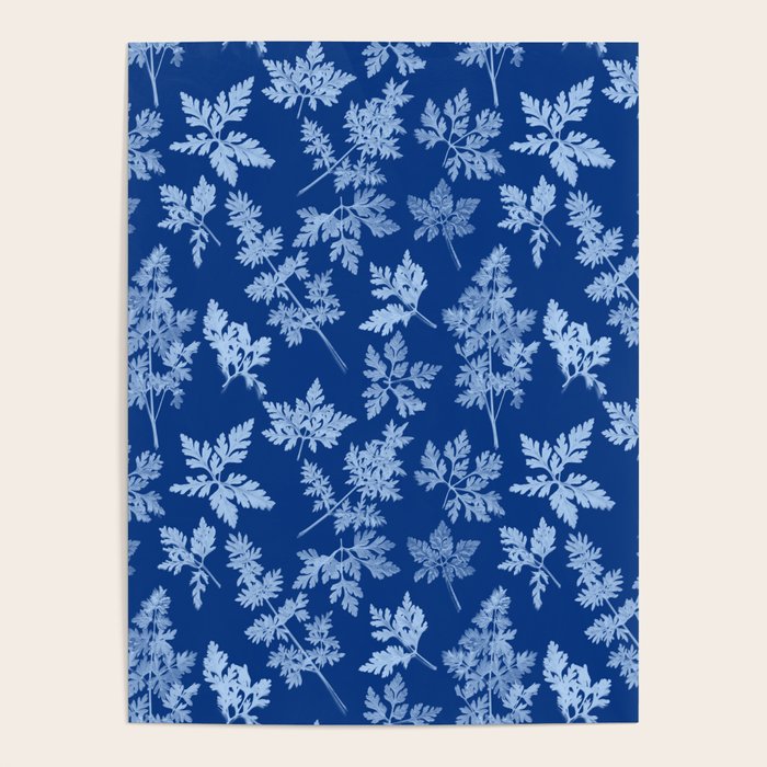 Herbal Blue Cynotype 01 Poster Gallery Image 4