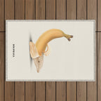 Dolphana Outdoor Rug Gallery Image 1