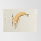 Dolphana Rug Gallery Image 2