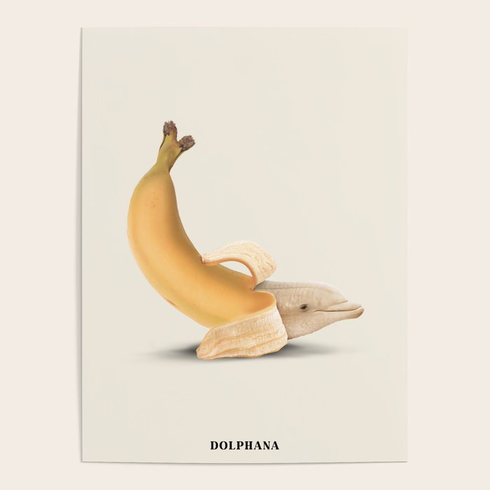 Dolphana Poster Gallery Image 4
