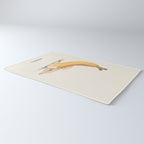 Dolphana Rug Gallery Image 3