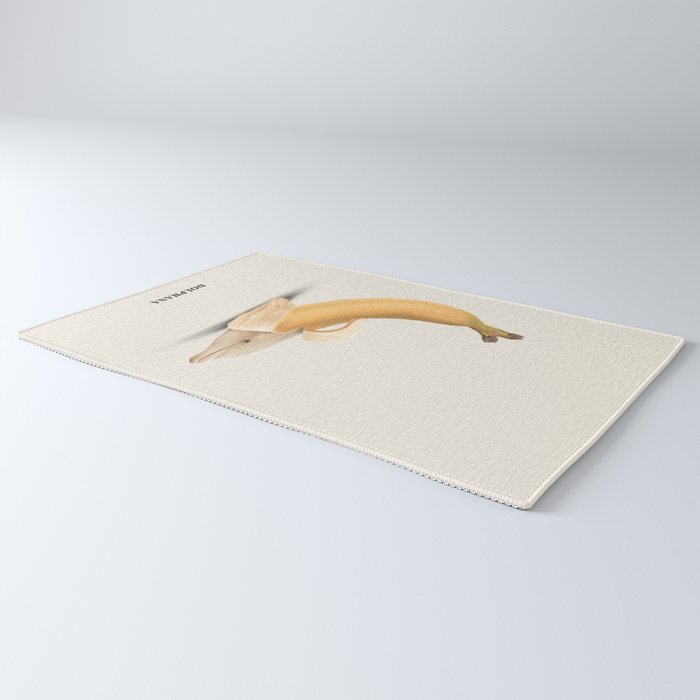 Dolphana Rug Gallery Image 3