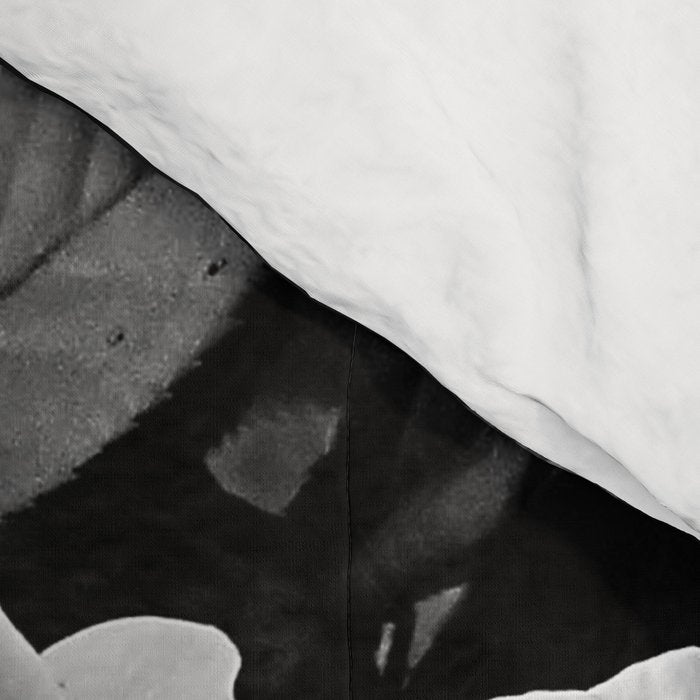 Black And White Roses Comforter Gallery Image 4