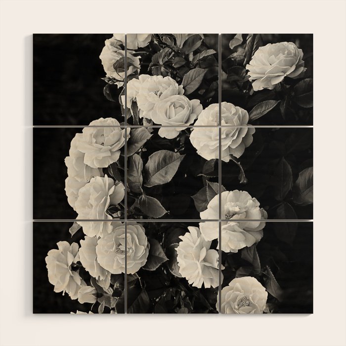 Black And White Roses Wood Wall Art Gallery Image 1