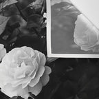 Black And White Roses Wall Tapestry Gallery Image 3