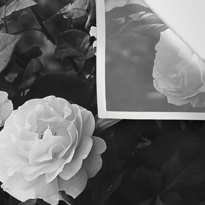 Black And White Roses Wall Tapestry Gallery Image 3