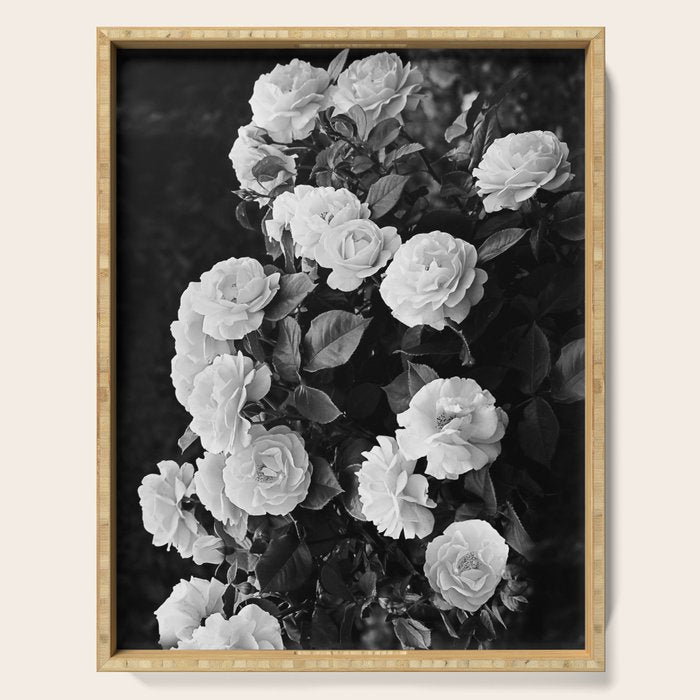 Black And White Roses Serving Tray Gallery Image 1