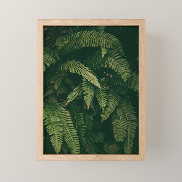 Ferns X Mini Art Print Gallery Image 1