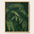 Ferns X Serving Tray Gallery Image 1