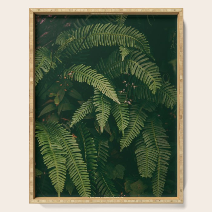 Ferns X Serving Tray Gallery Image 1