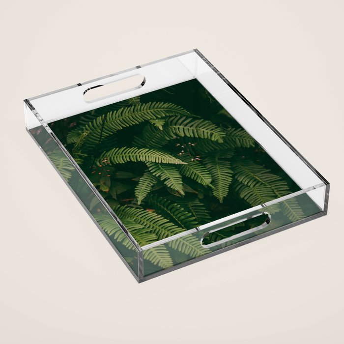 Ferns X Acrylic Tray Gallery Image 1