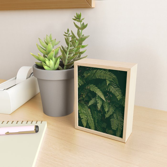 Ferns X Mini Art Print Gallery Image 2