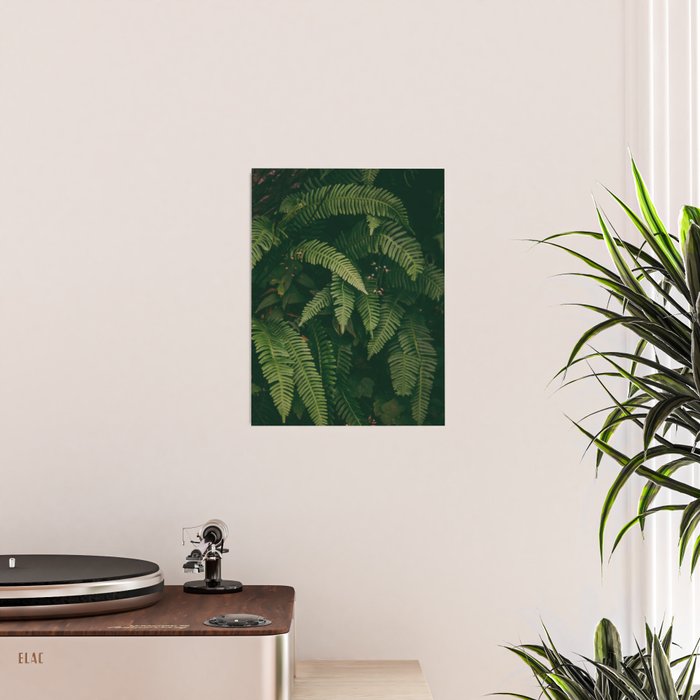 Ferns X Poster Gallery Image 2