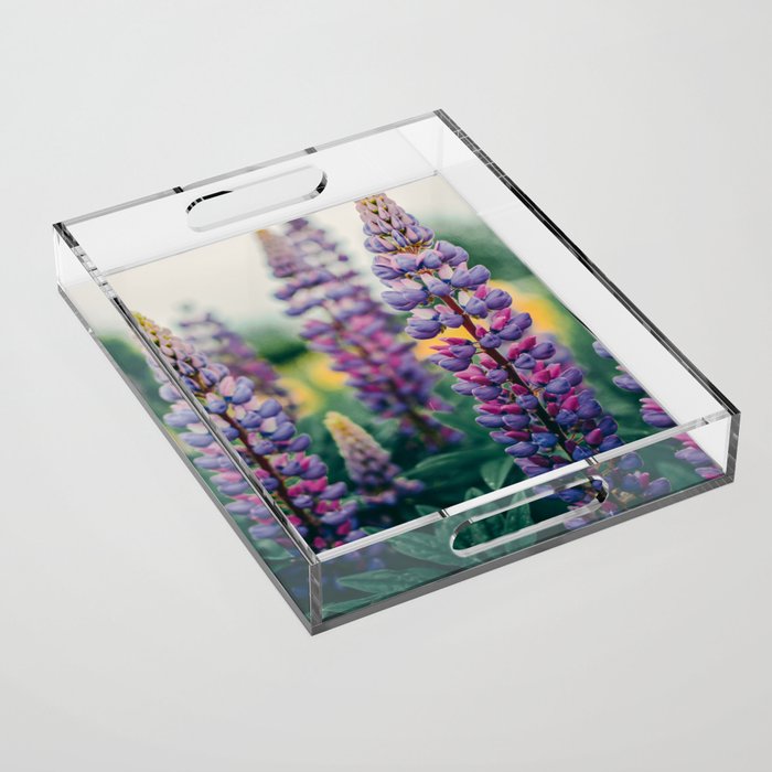 Lupine - spring flower nature photograph Acrylic Tray Gallery Image 1