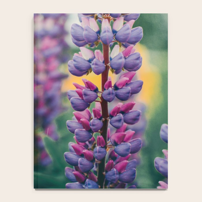 Lupine - spring flower nature photograph Notebook Gallery Image 4