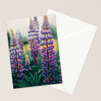 Lupine - spring flower nature photograph Stationery Card Gallery Image 2