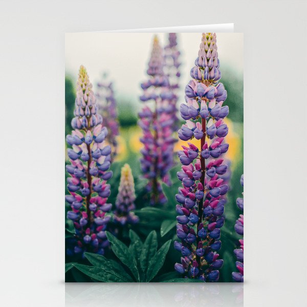 Lupine - spring flower nature photograph Stationery Card Gallery Image 1