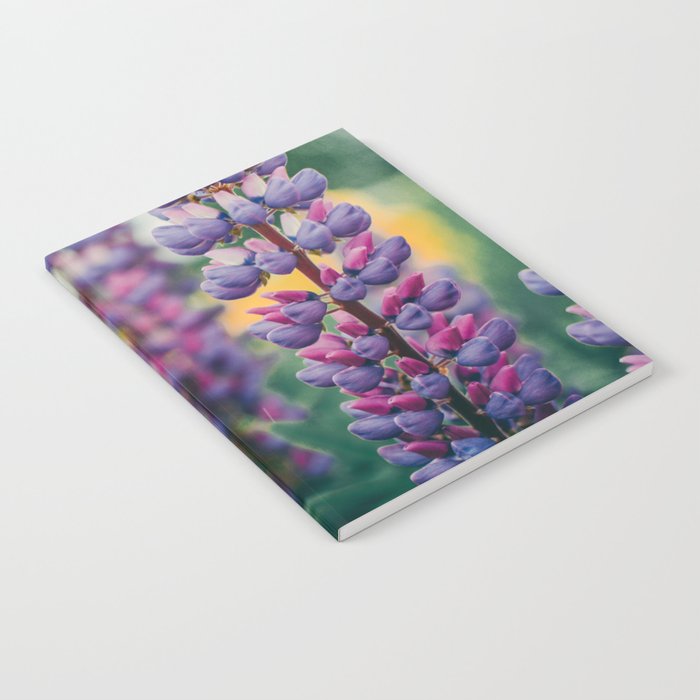 Lupine - spring flower nature photograph Notebook Gallery Image 2